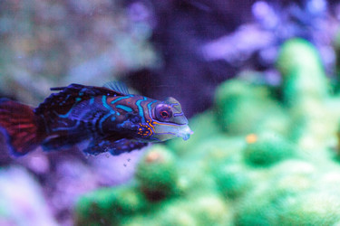 Similar image 19574883