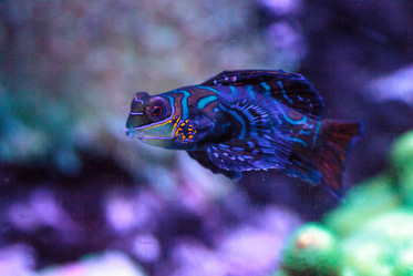 Similar image 19574885