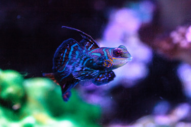 Similar image 19574888