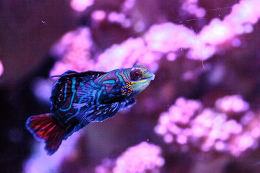 Similar image 19574889