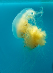 Similar image 19574890