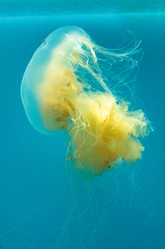 Similar image 19574897