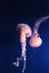 Similar image 19574975