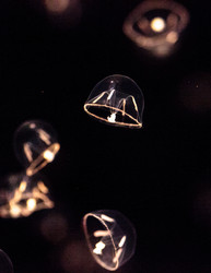 Similar image 19582104