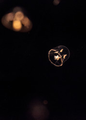 Similar image 19583315