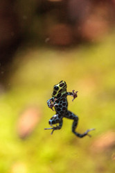 Similar image 19583317