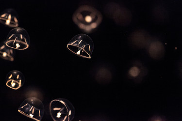 Similar image 19583352