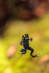 Similar image 19583341