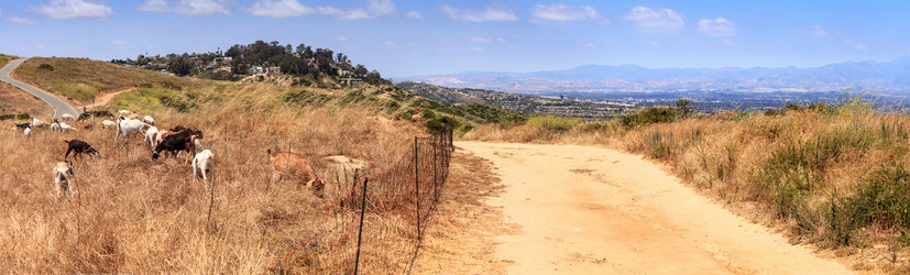 Similar image 19583581