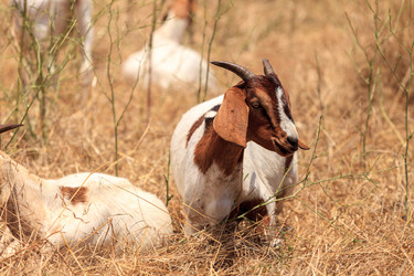 Similar image 19583582