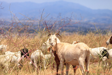 Similar image 19583583