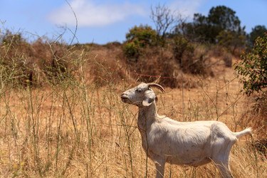 Similar image 19583614