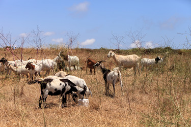 Similar image 19583615