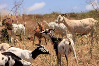 Similar image 19583617