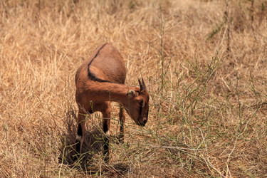 Similar image 19583620