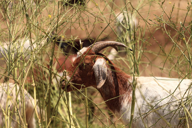 Similar image 19583628