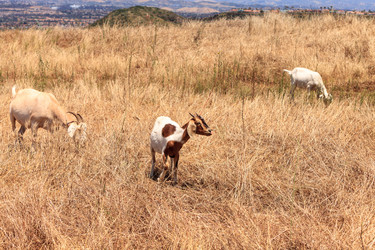 Similar image 19583631