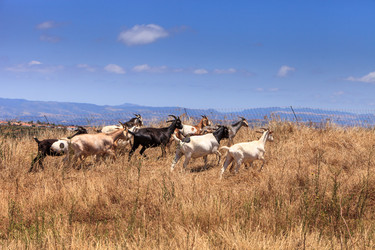 Similar image 19574846