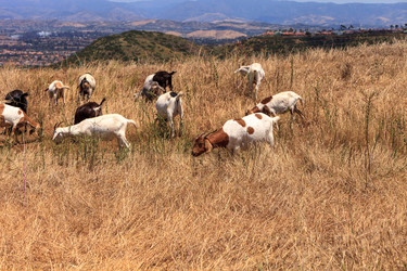 Similar image 19574851