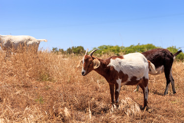 Similar image 19574853