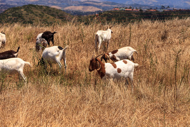 Similar image 19574854