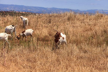 Similar image 19574855