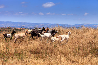 Similar image 19574856