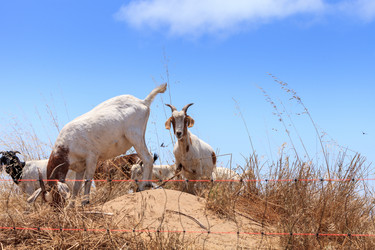 Similar image 19574859