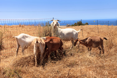 Similar image 19574861