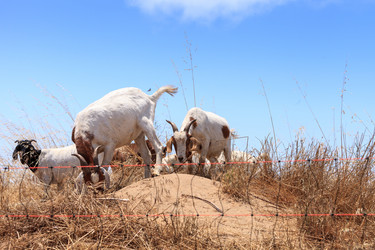 Similar image 19574863