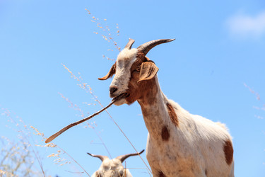 Similar image 19574865