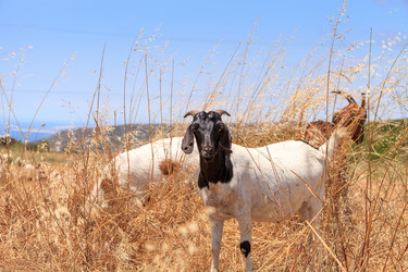 Similar image 19574868