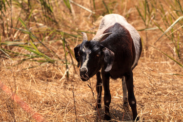 Similar image 19574872