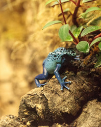 Similar image 19574878