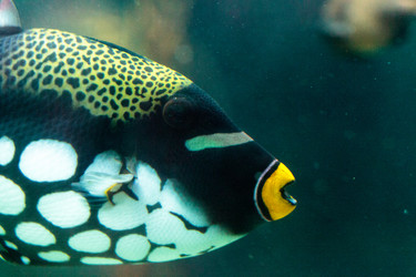 Similar image 19574891