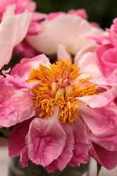 Similar image 19583318