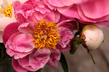 Similar image 19583323