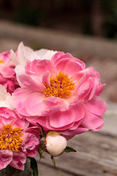 Similar image 19583372