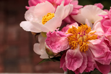 Similar image 19583375