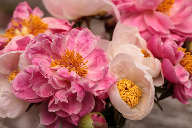 Similar image 19583591