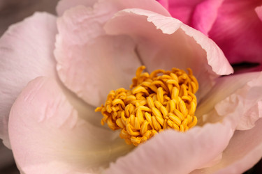 Similar image 19583609