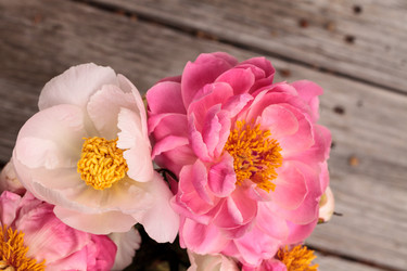 Similar image 19583611