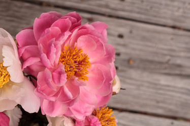 Similar image 19583612