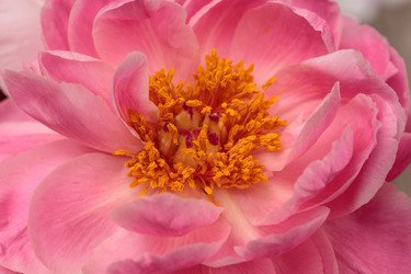 Similar image 19583409