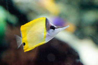 Similar image 19583634