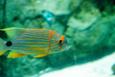 Similar image 19583336