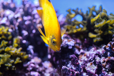 Similar image 19583435