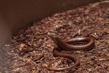 Similar image 19583553