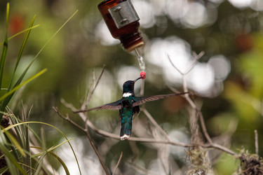 Similar image 19583554