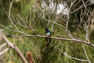 Similar image 19583571